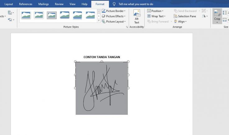 Cara Membuat Tanda Tangan Di Word Dengan Mudah