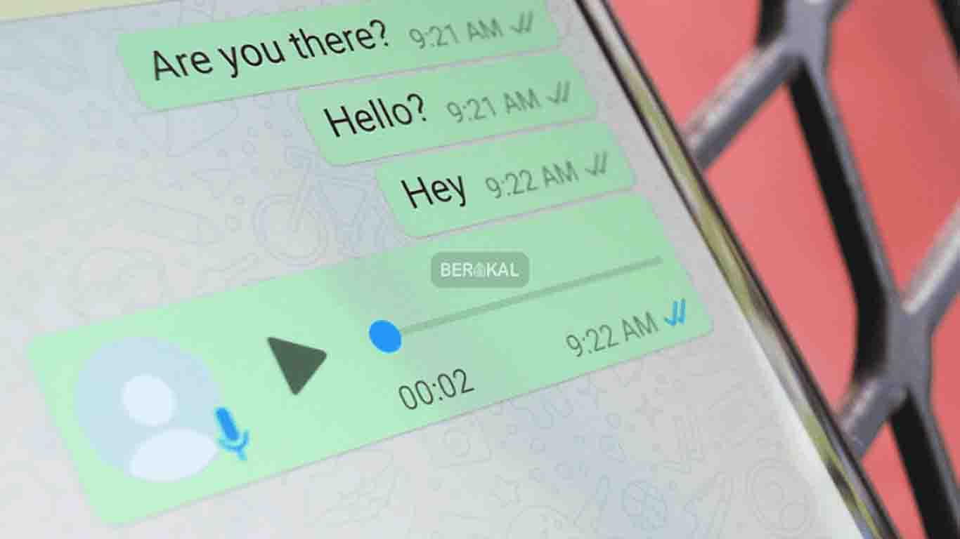 cara mengetahui whatsapp disadap dengan pesan sudah dibaca