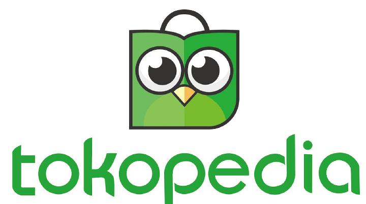 Sekilas Tentang PIN Tokopedia