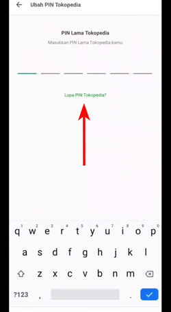 Tap tombol Lupa PIN Tokopedia.