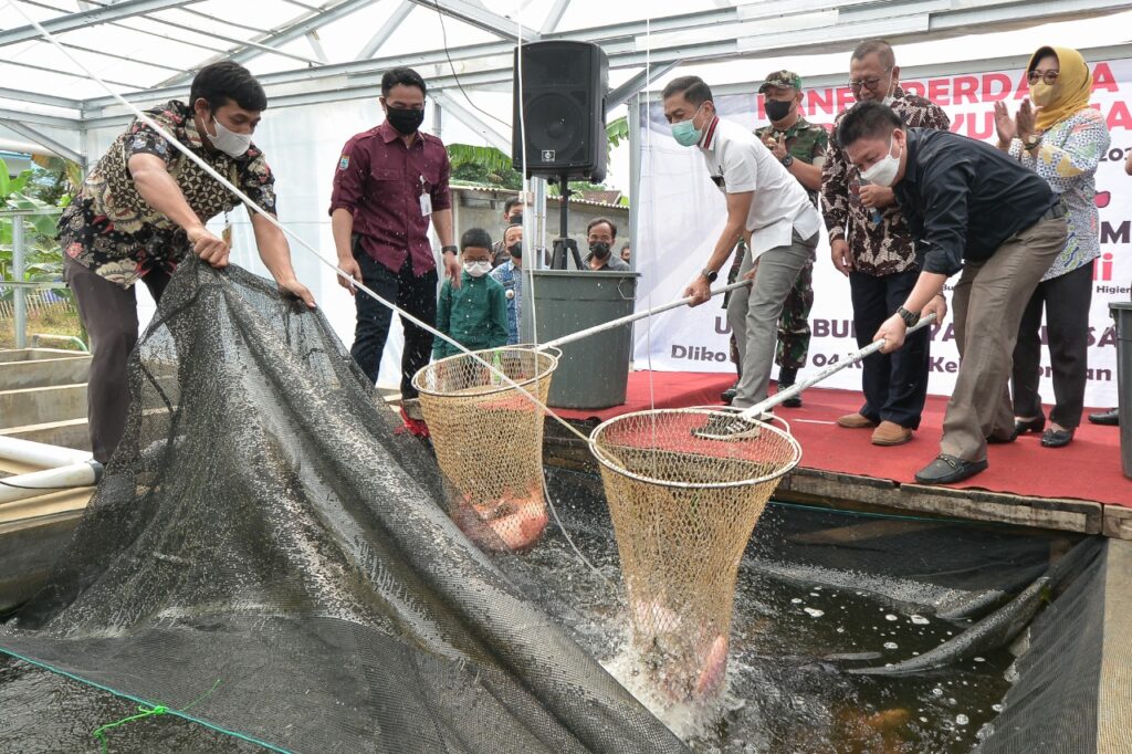 Ciri-Ciri Benih Ikan yang Berkualitas