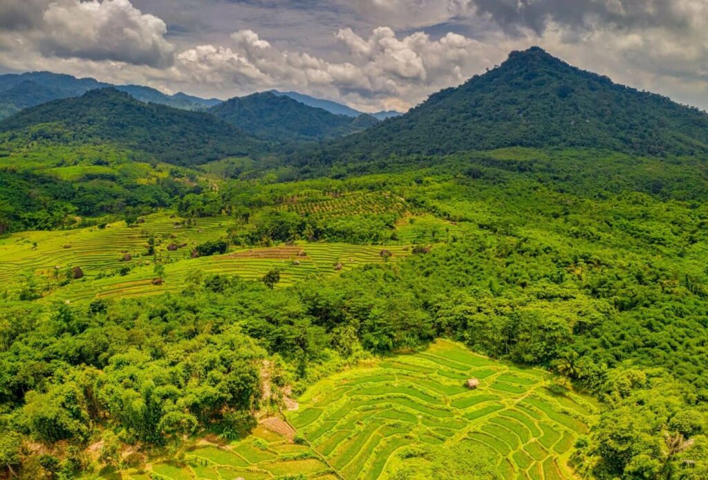 Pengertian Penghijauan Lingkungan