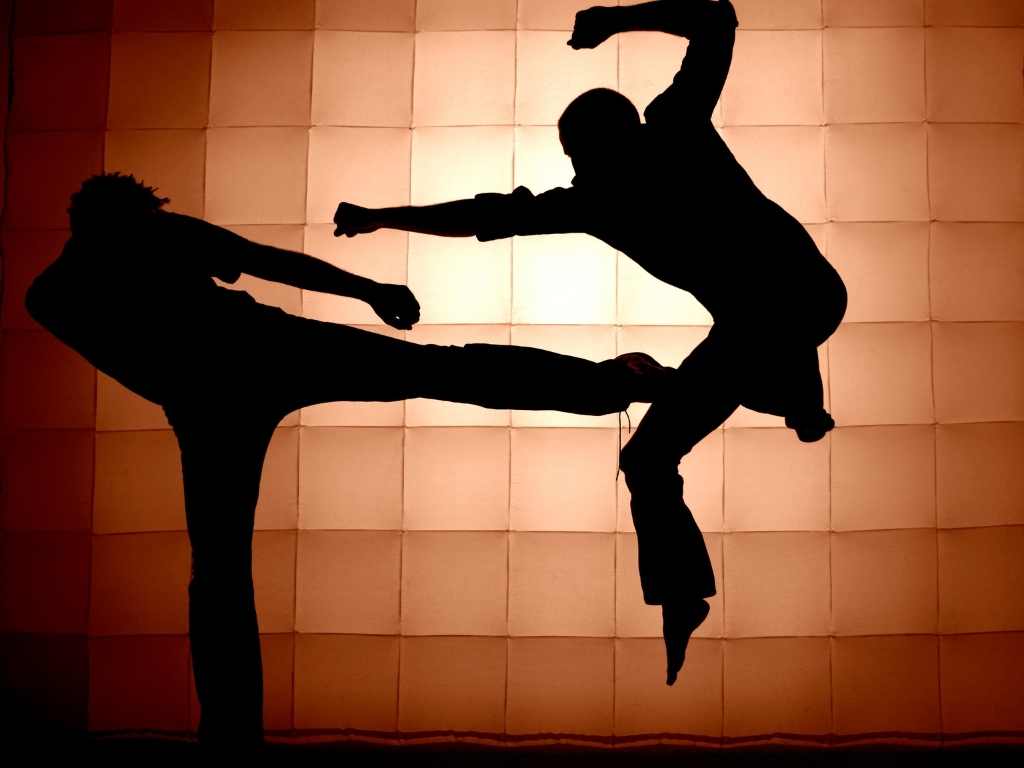 Tujuan Proposal Pengadaan Alat Kesenian Pencak Silat